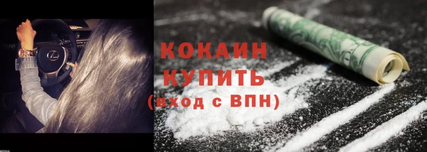 ешки Менделеевск