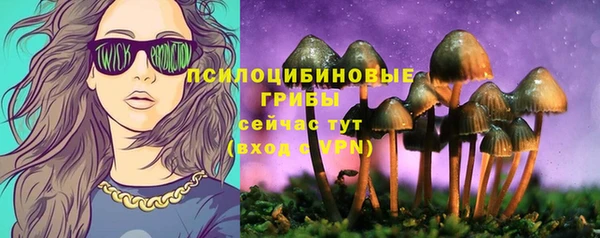 спайс Аркадак